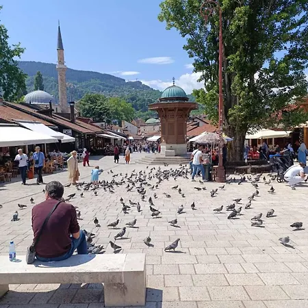 Apartman Dzan * Sarajevo